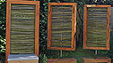 SAC Strutt and Parker Sustainable Highland Garden