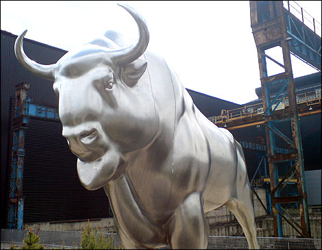 Bison at Magna