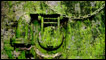 Mugre verde
