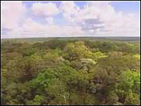 amazonas