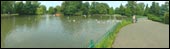 Abbey Park Duck Pond