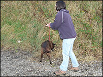 Walkies