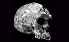 Radio 4: Oldest human fossils © Tim White