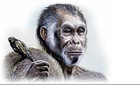 Archive news: the hobbit - image courtesy National Geographic