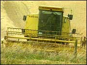 Combine harvester