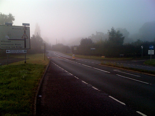 Misty morning