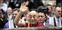 lama203.jpg