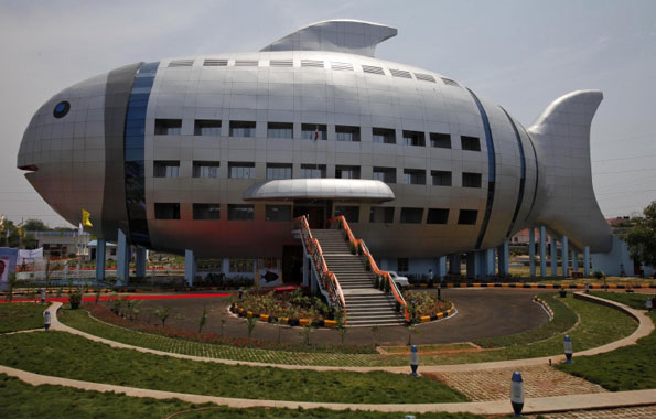 New fish building