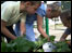 Jones Memorial Primary schoolchildren explore their garden