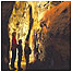 Honeypots index (Image: Cheddar Cave and Gorge)