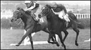Red Rum