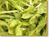 organic veg