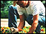 Gardener.
