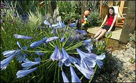 The coastal garden