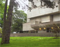 The Ulster Museum, Blefast by Mary McIntyre