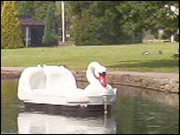 Swan