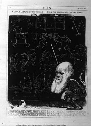 The Darwin Archive