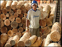deforestare