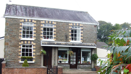 siopshinks1.jpg