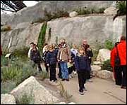 The Mediterranean Biome