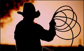 Cowboy