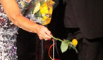 Dame Shirley Bassey at the Electric Proms 2009