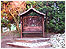 Views of the garden.
