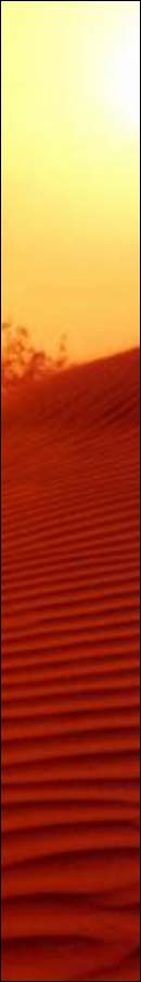 The Sahara Desert