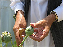 پوست کی کاشت
