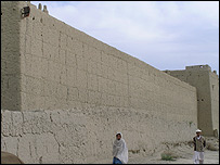 طالبان