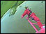 Nicola Weir on the wing of a bi-plane