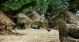 anuta's video screenshot thumbnail