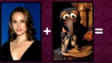 CELEBRITY COCKTAILS