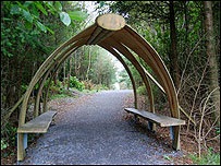 Haldon Forest