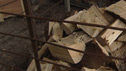 Log fires concern