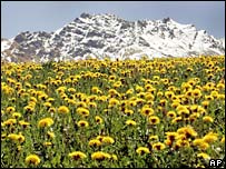 Alpes