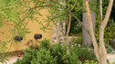 The Daily Telegraph Garden