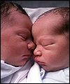 New Parents BBC World Service 