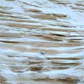 Sand dunes eroded by the wind