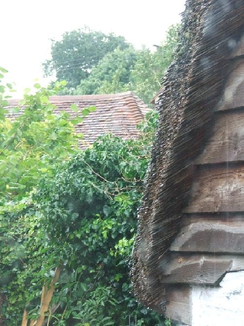 WetSussex.JPG