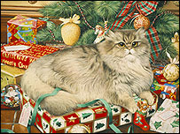 Cat illustration
