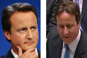 cameron_hair.jpg