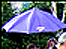 Umbrella