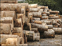 Deforestare
