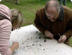 bioblitz