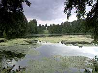 Stowe Gardens