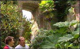 Belsay hall gardens