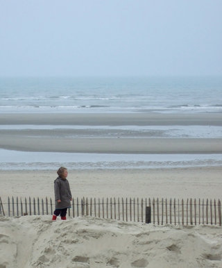 The view