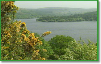 Beautiful Burrator reservoir.