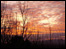 Sun setting over the forest
